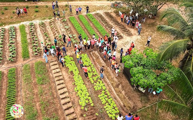 Capacitação do projeto Amesa que atende agricultores de 24 comunidades de Barcarena